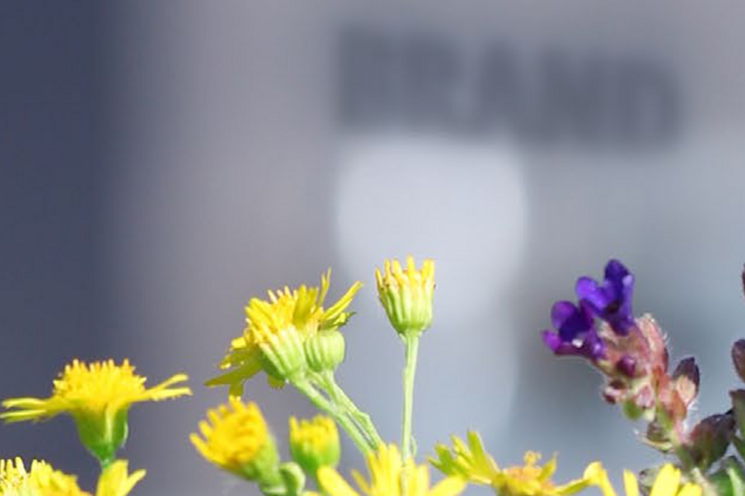 Flowers in front of a building