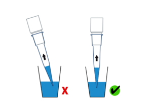 Illustration comparing incorrect pipette immersion angle (tilted) with the correct vertical position for accurate liquid aspiration.