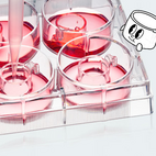 Cell culture inserts